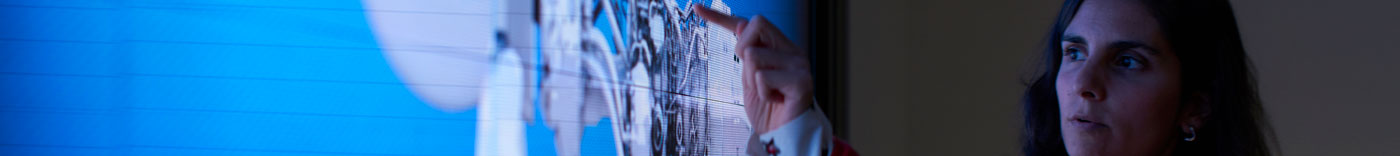Bild zu Sr. Sales Analyst